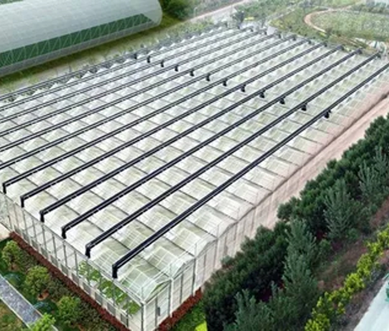 Rekayasa Struktur Baja Proyek Pertanian Digital Shanghai Alibaba